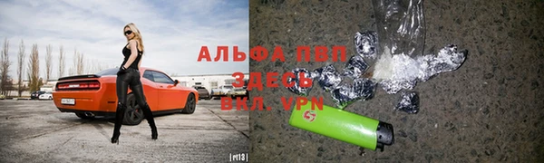 таблы Алзамай