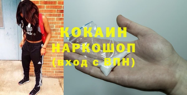 дживик Алексин
