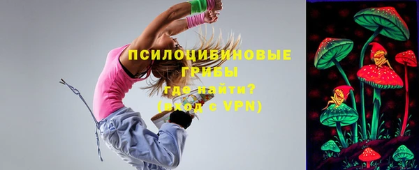 таблы Алзамай